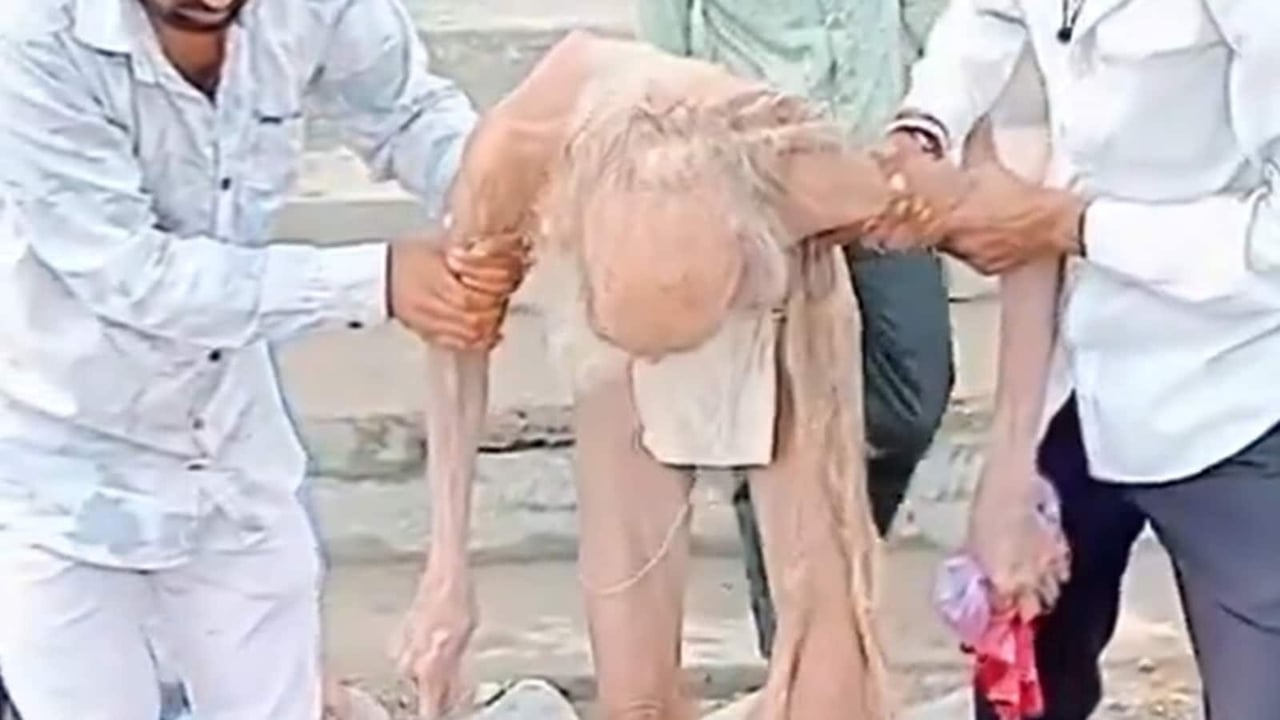 Hero image