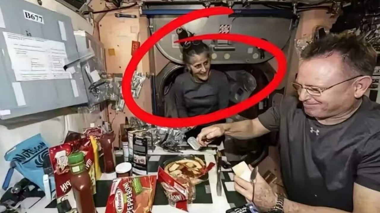 Hero image
