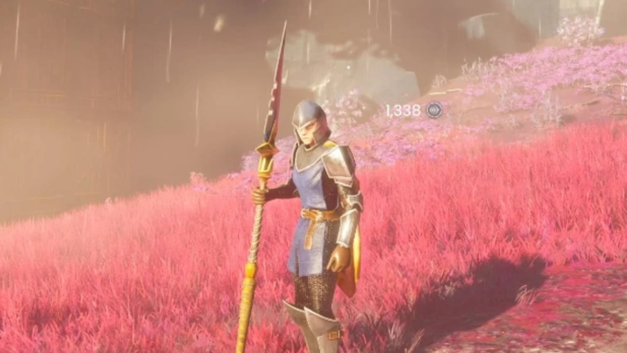 Hero image