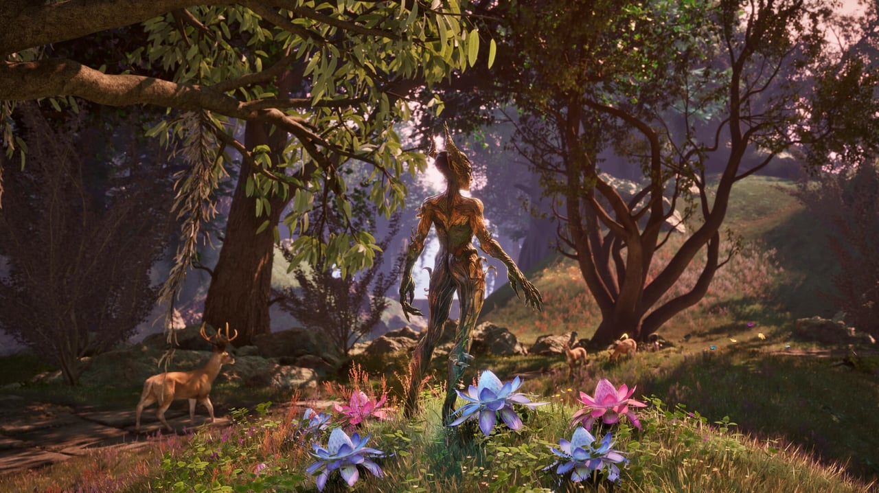 Hero image