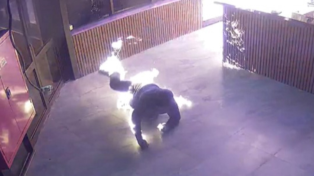 Hero image