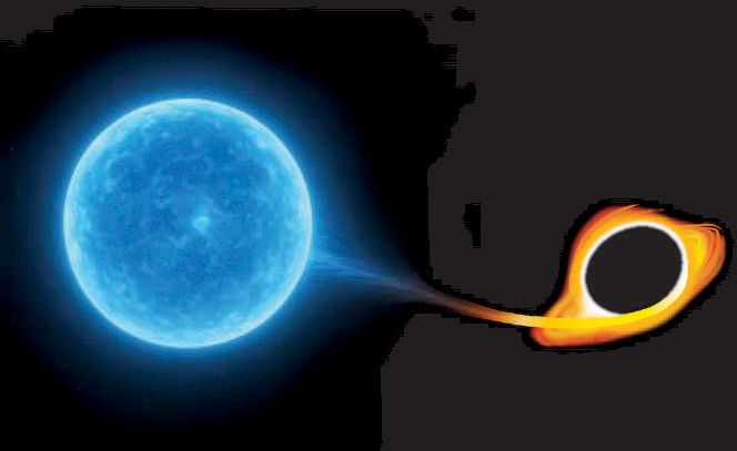 Hero image