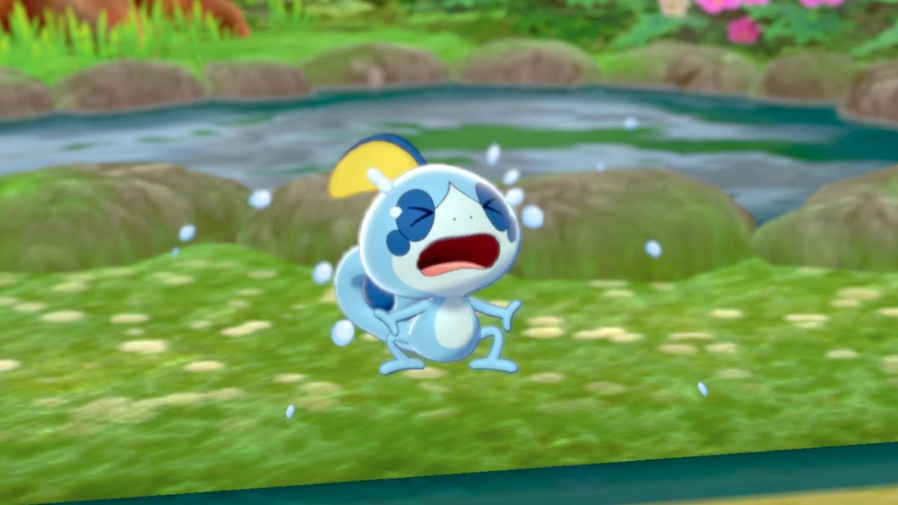 Hero image