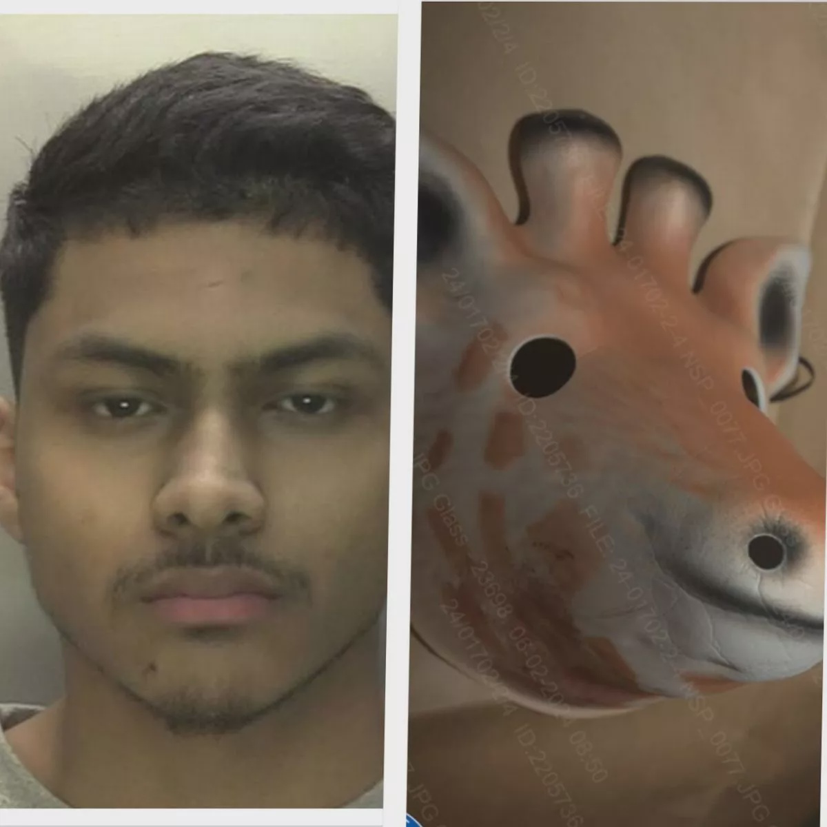 Hero image
