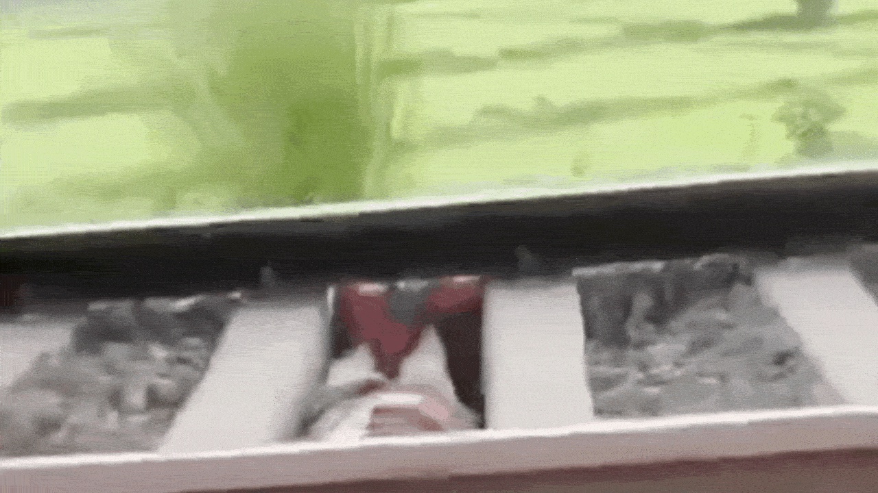Hero image