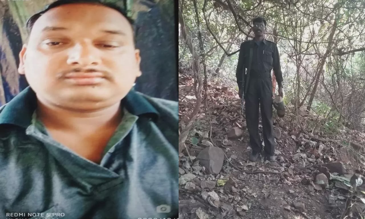 Hero image