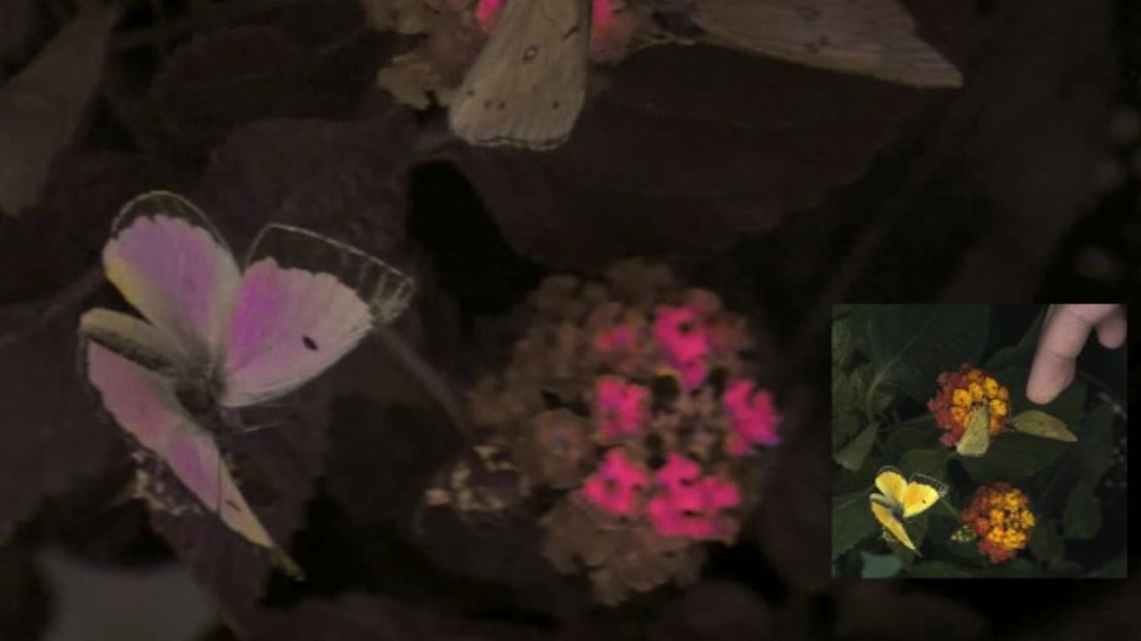 Hero image