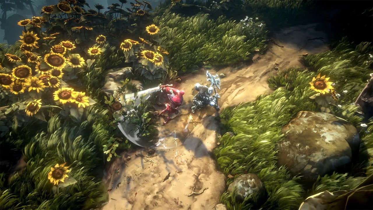 Hero image