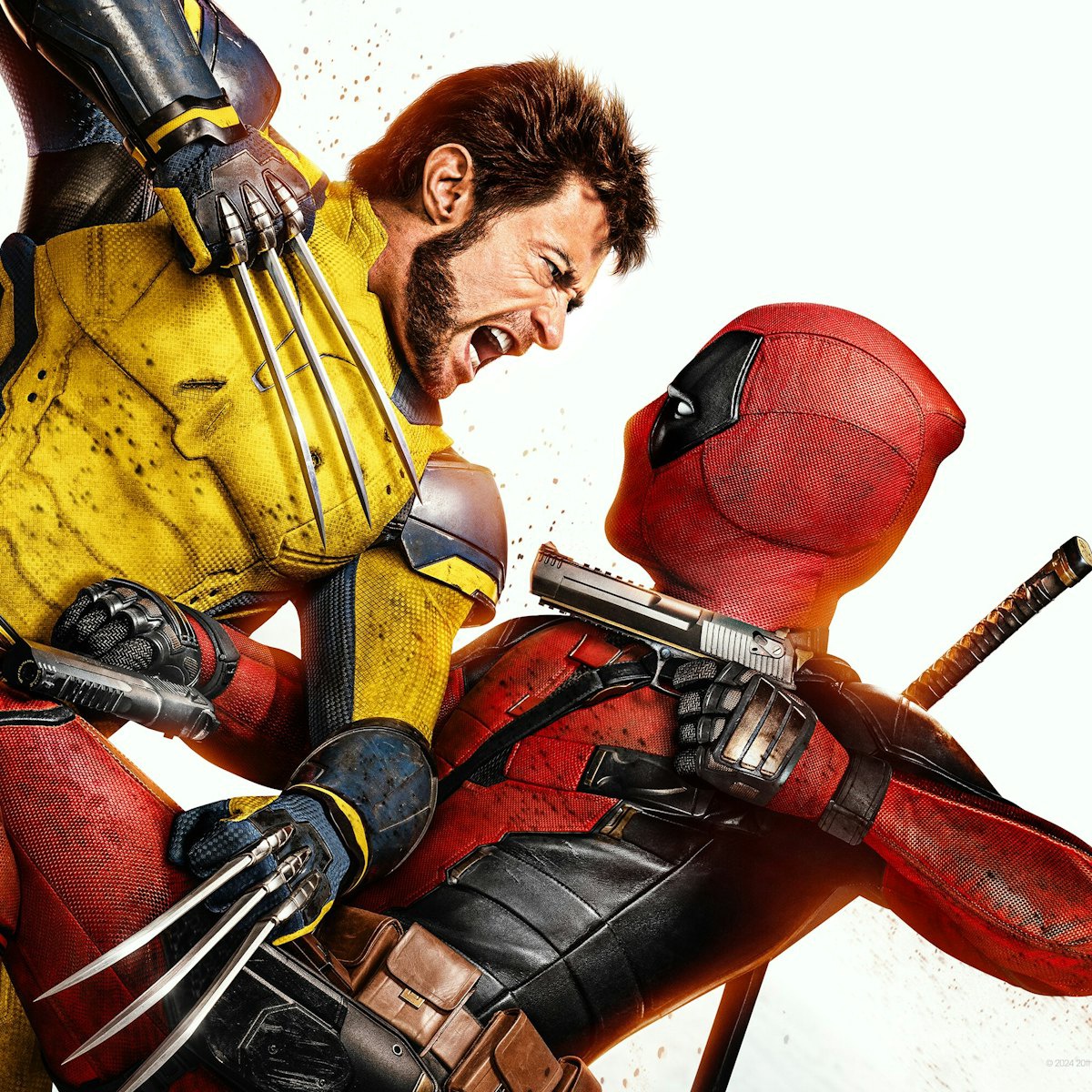 Hero image