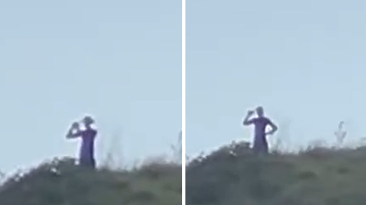 Hero image