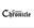 Central Chronicle
