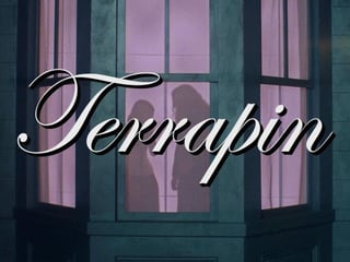 Hero image
