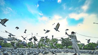 Hero image