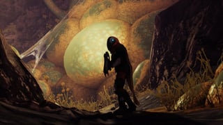 Hero image