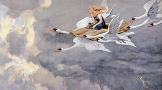 Hero image