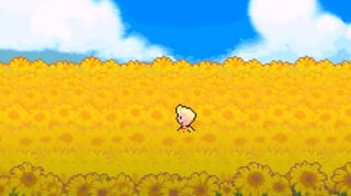 Hero image