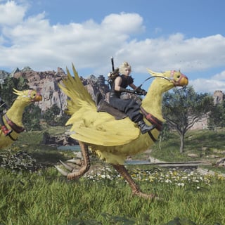 Hero image