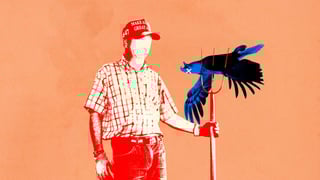 Hero image
