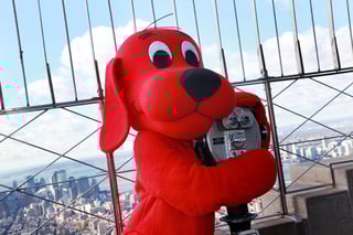 Hero image