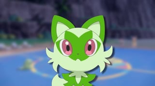 Hero image