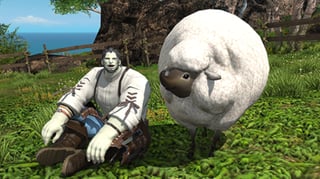 Hero image