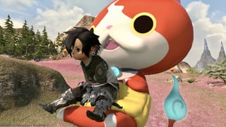 Hero image