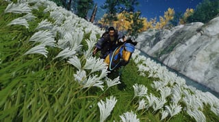 Hero image