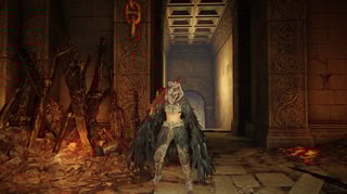 Hero image