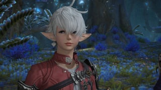 Hero image
