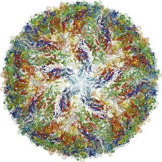 Picture of Cryogenic electron microscopy