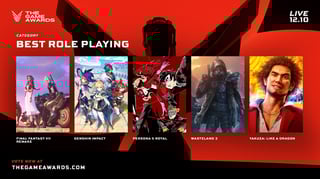 Picture of The Game Award for Best Role Playing Game