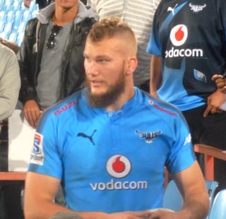 Picture of RG Snyman