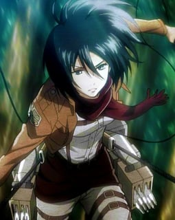 Picture of Mikasa Ackerman