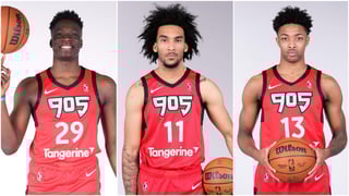 Picture of Raptors 905