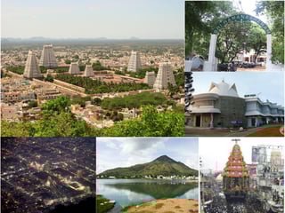 Picture of Tiruvannamalai