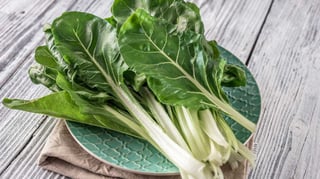 Picture of Chard