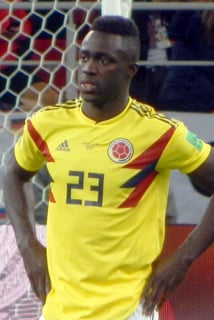 Picture of Davinson Sánchez