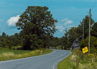 Picture of Roxham Road