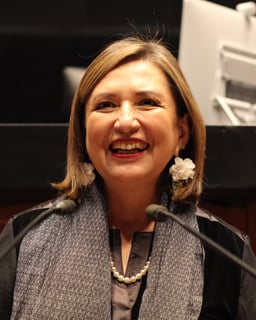 Picture of Xóchitl Gálvez Ruiz