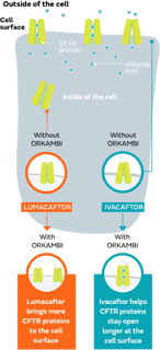 Picture of Lumacaftor / Ivacaftor