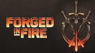 Picture of Forged in Fire