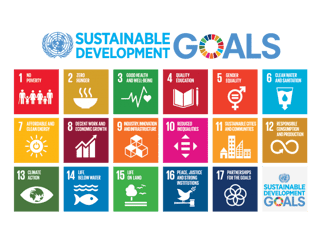 Picture of 2030 Agenda for Sustainable Development