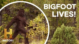 Picture of Bigfoot