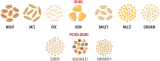 Picture of Grain