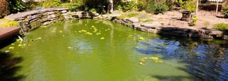 Picture of Green Pond