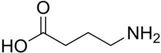 Picture of GABAergic