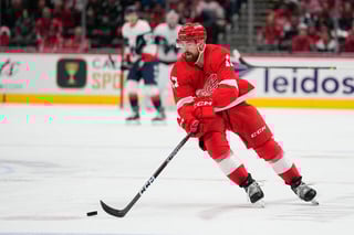 Picture of Filip Hronek