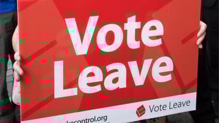 Picture of Vote Leave