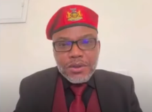 Picture of Nnamdi Kanu