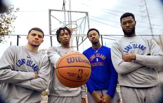 Picture of Long Island Nets